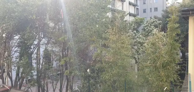 Il Giglio Guest House - 14