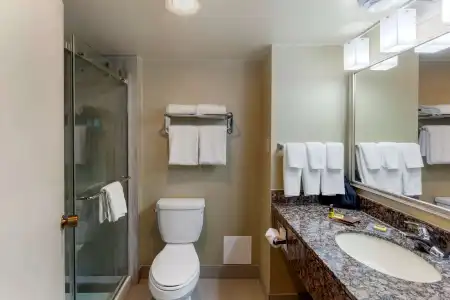 Best Western Plus Toronto Airport - 49