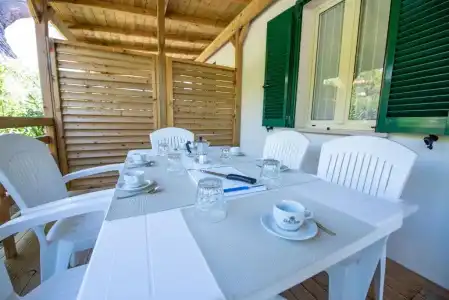 Club Del Sole Stork Family Collection - 229