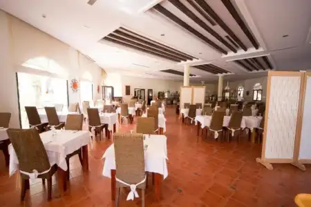 Green Palm - 18