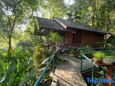 Khao Sok Riverside Cottage - 102