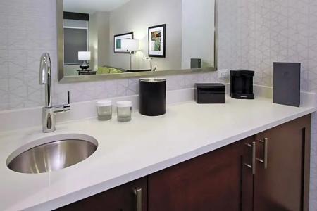 Embassy Suites by Hilton Pittsburgh Downtown - 81