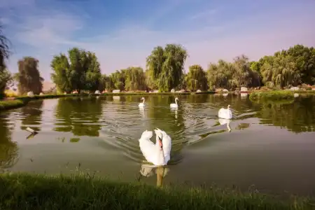 Telal Resort, Al Ain - 49