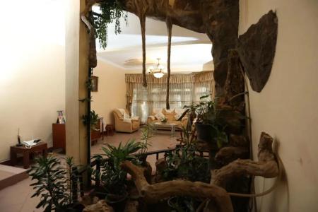 Tree Breeze Inn - 53