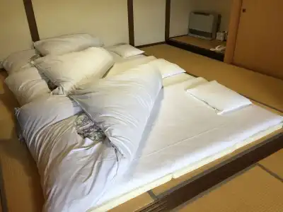 Ryokan Yufuin Tsubaki - 2