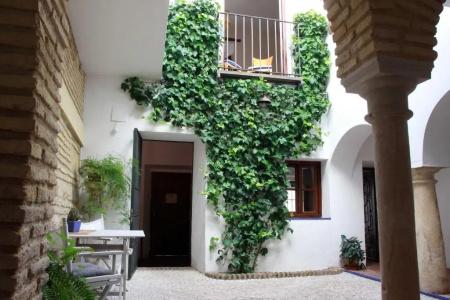 Apartamentos Los Patios de la Judería - 244