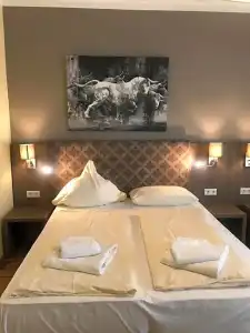 Il Cavallino - 24
