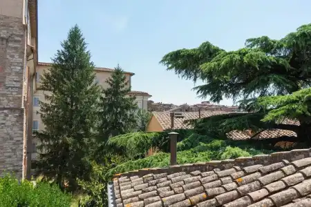 Primavera Mini - 54