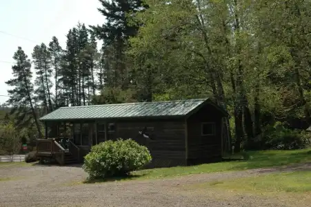 Park Motel and Cabins - 81