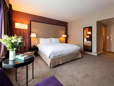 Sofitel Strasbourg Grande Ile - 38