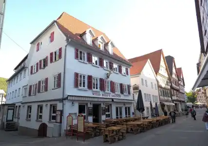 Goldener Hirsch Mosbach - 17