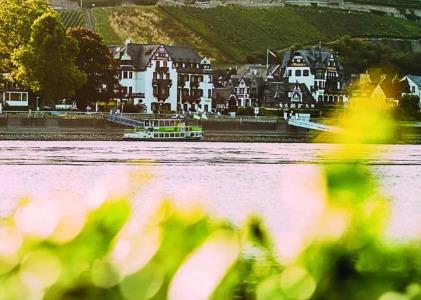 Krone Assmannshausen - 3