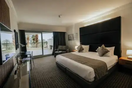 David Dead Sea Resort & Spa - 44