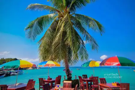 Ko Tao Resort (SHA Extra Plus) - 17