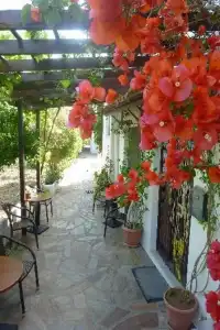 Golden Sun Kokkari - 16