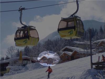 Almdorf Flachau - Luxus Hüttenurlaub - 11