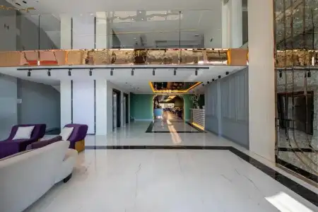Calisi - 0