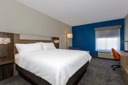 Holiday Inn Express Tampa N I-75 - University Area by IHG - 49