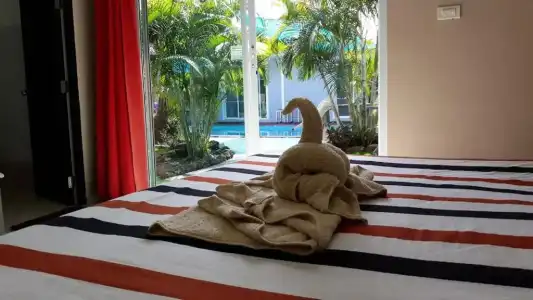 Carpe Diem Guest House - 14