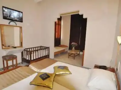 Hôtel Les Palmes d'Or - 44