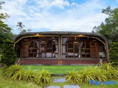 Mafiya Resort - 46