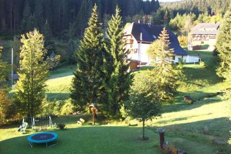 Schwarzwald-Pension Kräutle - 47