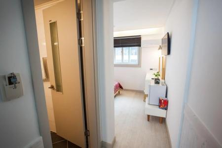 Petercat Shinchon - 2