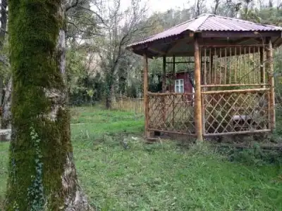 Villa Gelati - 10
