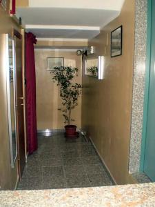 Albergo Posta - 38
