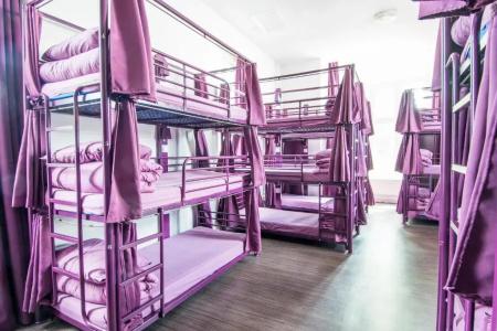 Safestay London Kensington Holland Park - 42