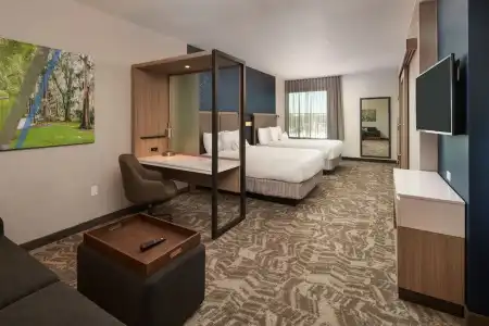 SpringHill Suites by Marriott - 16