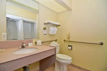 Quality Inn & Suites Irving DFW Airport South - 35
