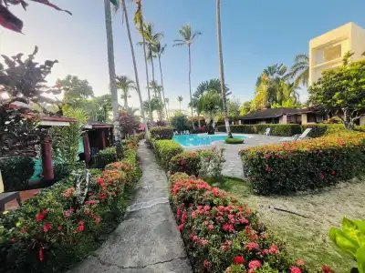 Palococo - 6