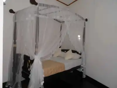 ExtremeHost Guest House - 0