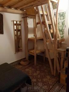 Cactus Host - 29