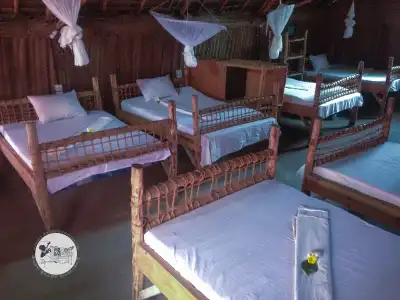 New Jambo Bungalows - Hostel - 1