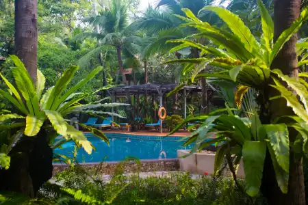 Rabbit Resort Pattaya - 17