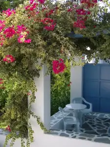 Panorama - 23