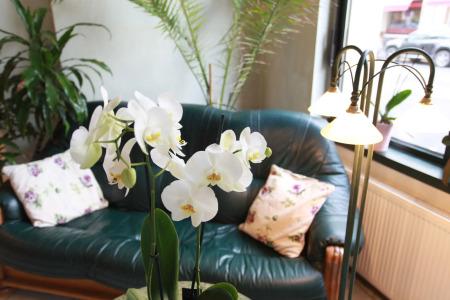 de Saxe Leipzig - 13