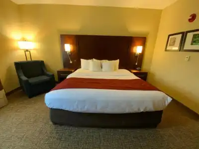 Comfort Suites Fredericksburg North - 49