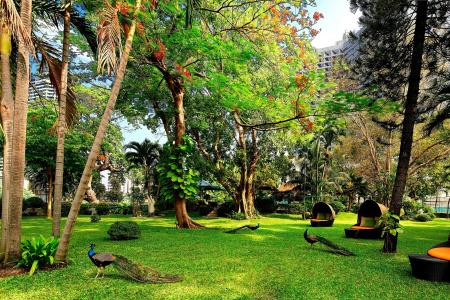 Royal Orchid Sheraton Riverside - 35