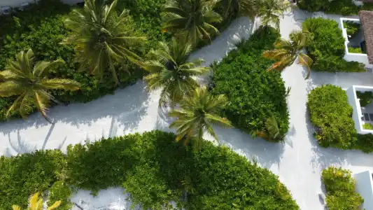 NOOE Maldives Kunaavashi - 41