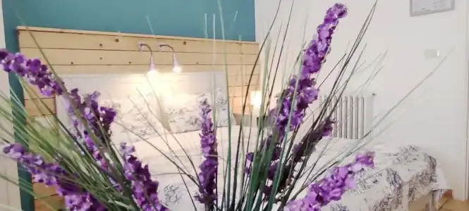 Apulia Bed & Breakfast - 9