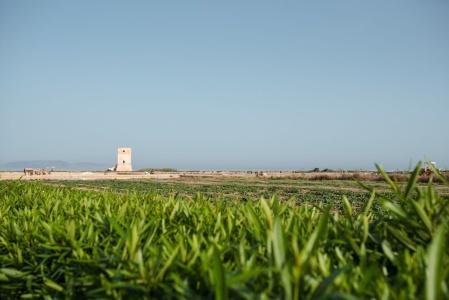 Relais Antiche Saline - 93