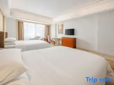 Vienna Dongguan Humen Wanda Plaza - 19