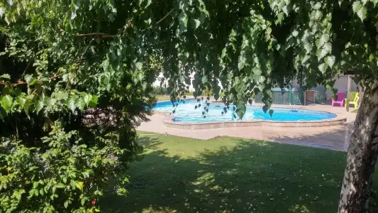 Galeria In The Garden - 8
