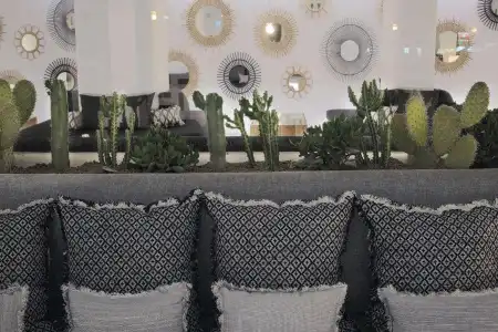 HM Balanguera Beach- Adults Only - 49