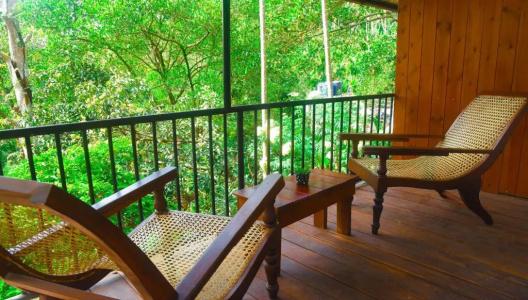 Madushanka Resort - 65