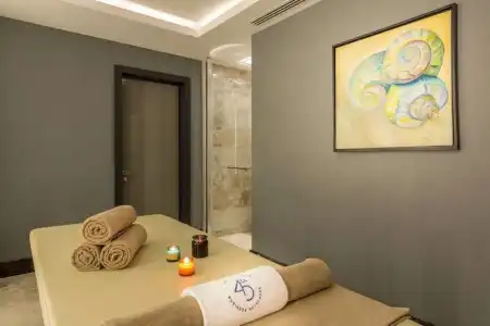 The Fortyfive Business & Spa - 1
