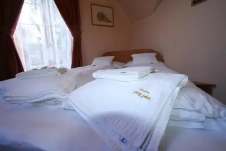 Penzión Zlatý Jeleň - 40